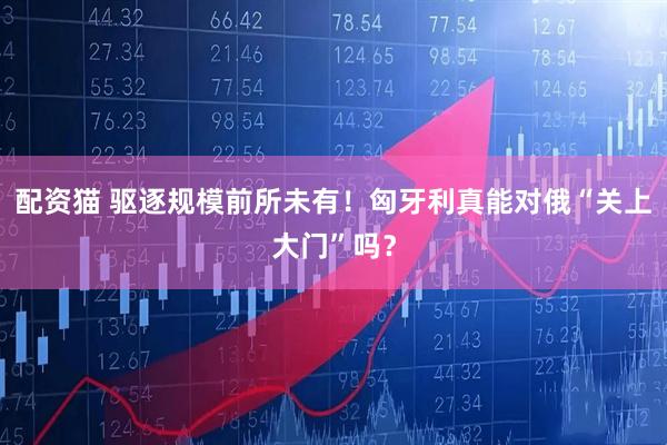 配资猫 驱逐规模前所未有！匈牙利真能对俄“关上大门”吗？
