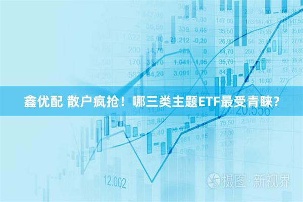 鑫优配 散户疯抢！哪三类主题ETF最受青睐？