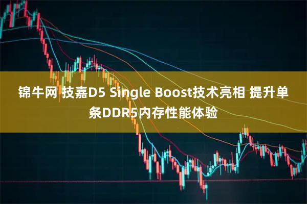 锦牛网 技嘉D5 Single Boost技术亮相 提升单条DDR5内存性能体验