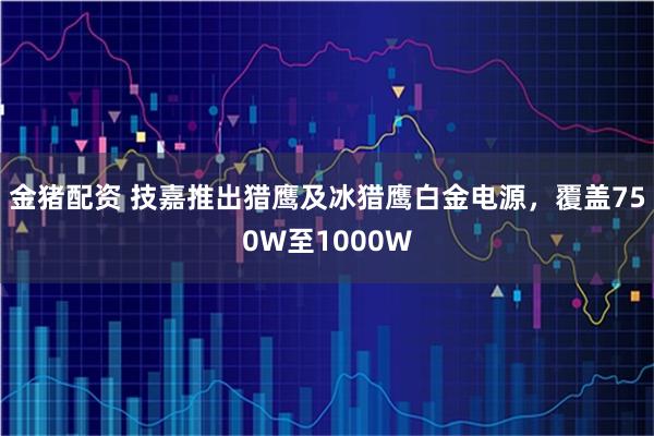金猪配资 技嘉推出猎鹰及冰猎鹰白金电源，覆盖750W至1000W
